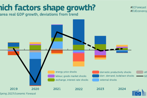 Which Factors Shape Growth and Inflation Going Forward?